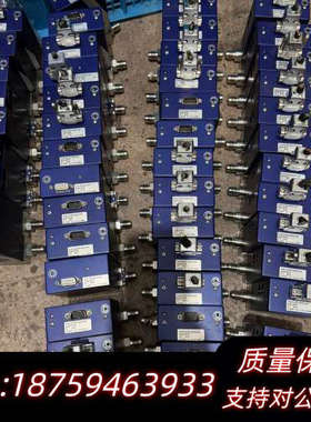 CS200，cs100七星流量计3L/min，5L 10L.询价