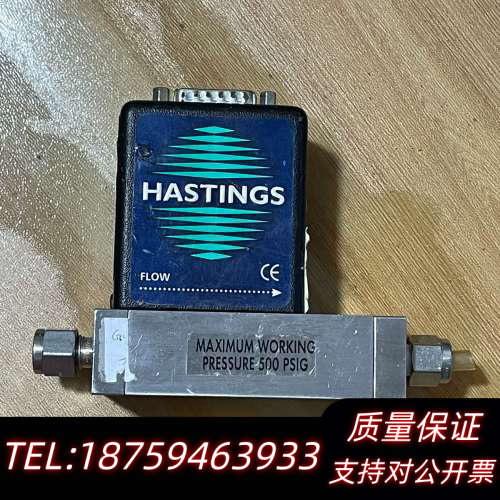 Teledyne泰利德流量计HFM-300 10SCCM/A.询价