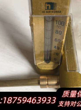 HI AIR Thermometer 0-100℃ L型.询价