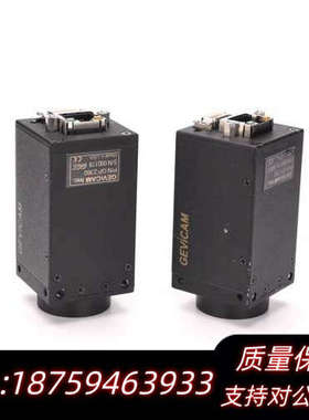 GEViCAM GP-2360 黑白CCD工业相机 ICX4.询价