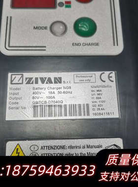 登高车，ZIVAN NG9 电动车充电器，电瓶车电瓶.询价