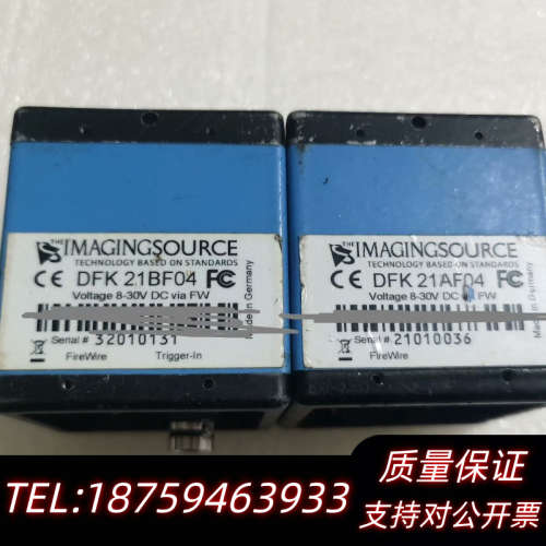 IMAGNGSOURCE映美精 DFK 21BF04 彩色询价