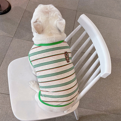 猫咪衣服透气棉贵宾薄款外套