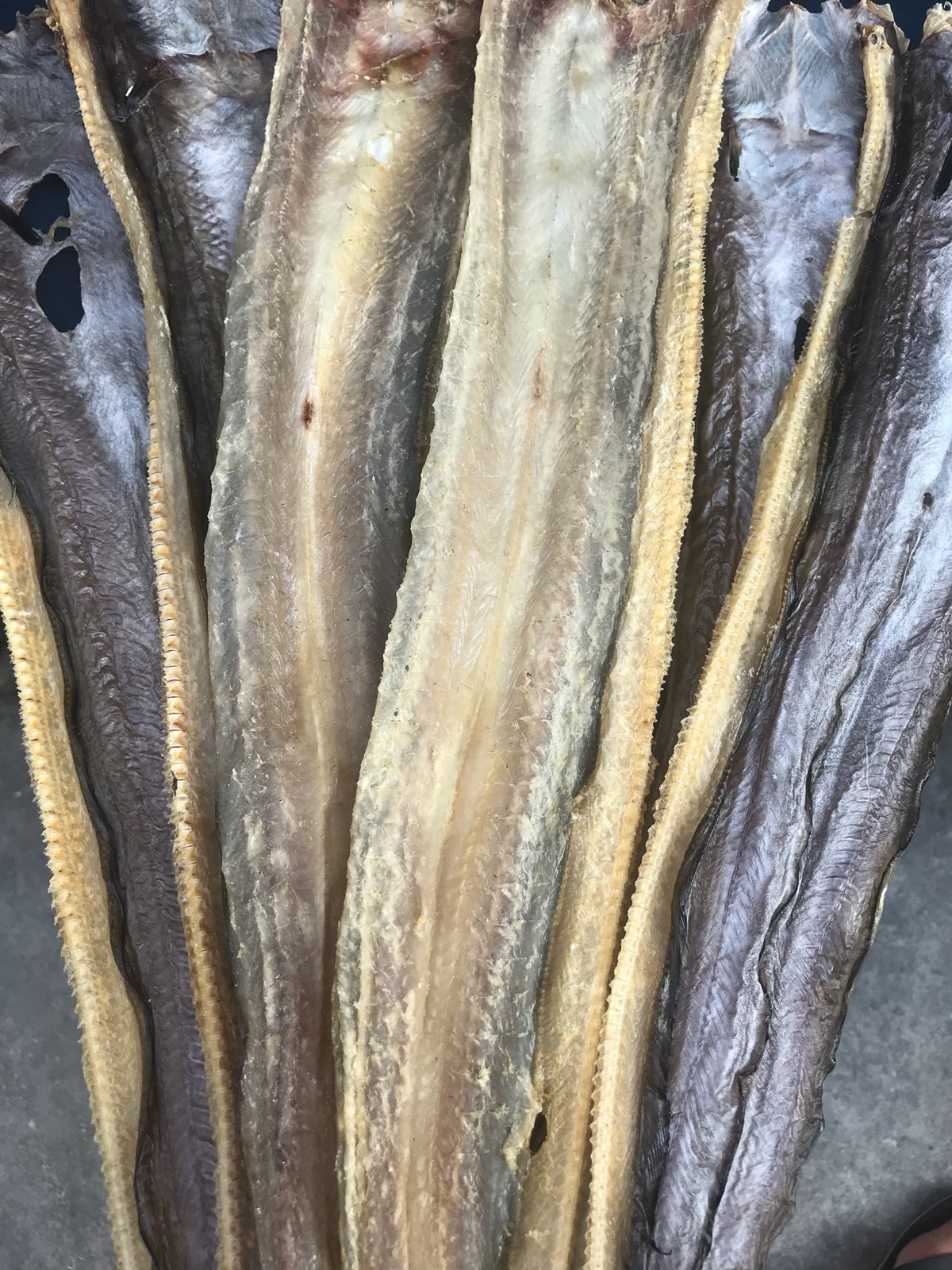 汕尾马宫海味 内水麻鱼鳗鱼鱼干 500g 野生海鲜特产自晒淡咸鱼干