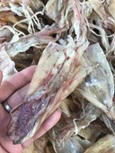 19个 斤无盐淡晒非加工500g 本港船晒野生鱿鱼干 汕尾马宫海味