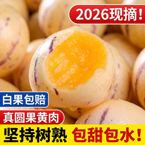 云南石林人参果新鲜水果树上熟