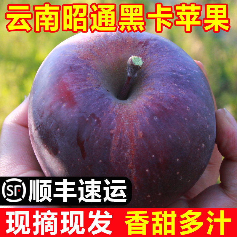 顺丰速运云南昭通黑卡苹果黑苹果黑钻苹果当季新鲜水果整箱包邮