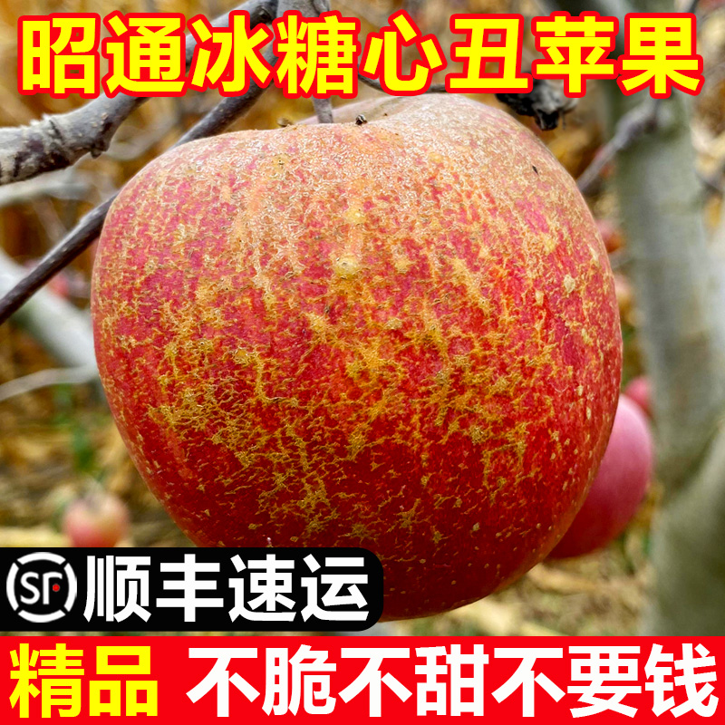 精品礼盒装云南昭通冰糖心丑苹果大果新鲜水果10斤当季整箱包邮