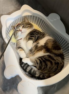 菜篮子猫窝夏季透气凉爽降温猫床加厚PP舒适耐抓垫子可水洗宠物窝