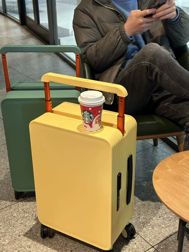 Универсальный чемодан, 26 дюймов