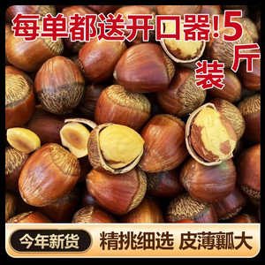 新货榛子2024年东北特产新鲜野生大榛子水漏薄皮原味坚果零食特产