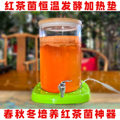 新品上架红茶菌恒温加热垫胃宝海宝醋蛾子冬季培养神器加热器