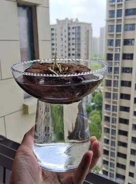 山乌龟终于有了适合的瓶子了