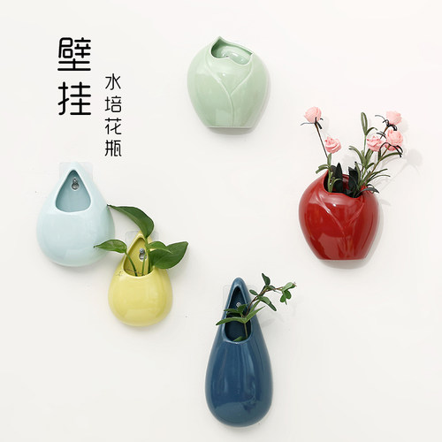挂墙绿萝简约客厅装饰水培小花瓶