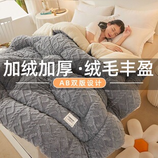 2025冬季羊羔绒被子厚款塔芙绒棉被双面绒毛毯十斤冬被加厚棉被