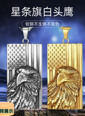 欧美风项链钛钢朋克DZ486