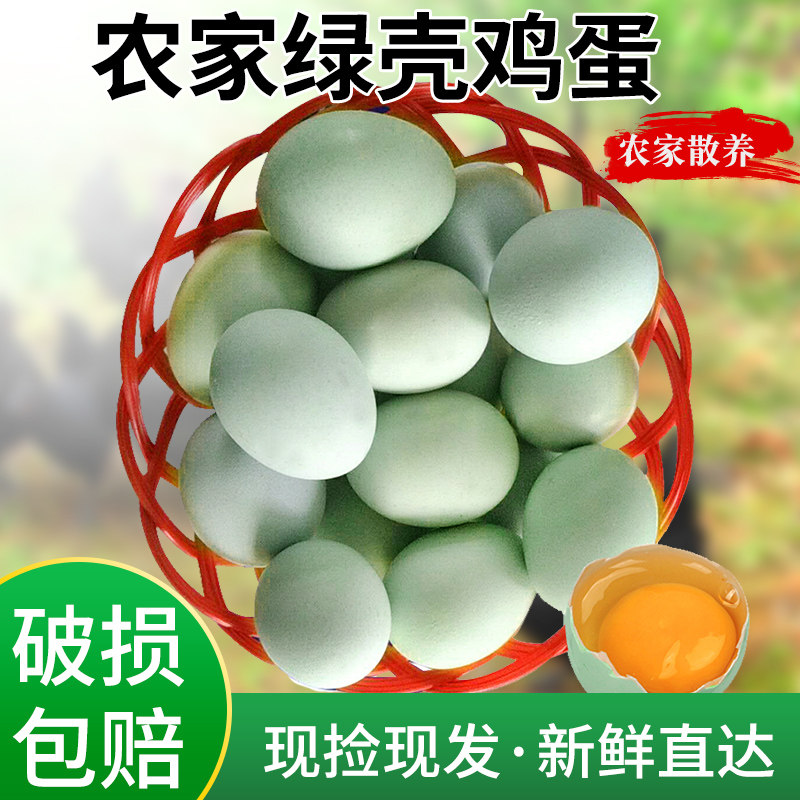 新鲜农家放养散养土鸡蛋乌鸡蛋农家蛋绿壳土鸡蛋40枚【破损包赔】,水产肉类/新鲜蔬果/熟食,鸡蛋,淘宝优惠券,粉丝福利购,淘宝优惠卷