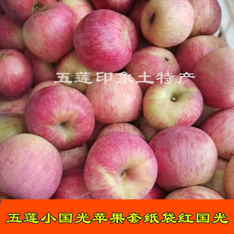 山东五莲正宗国光苹果新鲜水果应季套纸袋酸甜孕妇食用五斤包邮