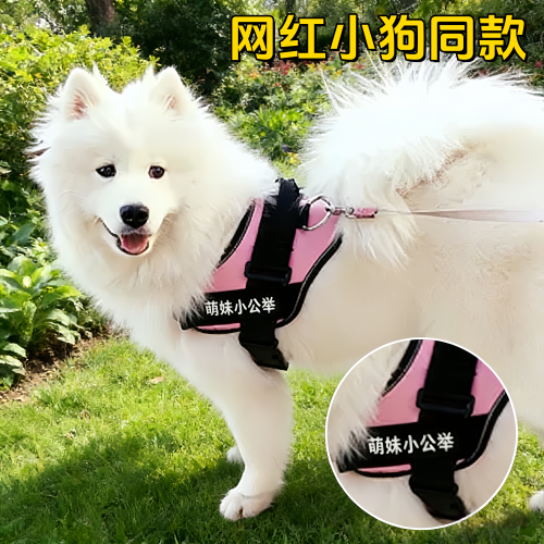 网红小狗同款个性背心式牵引绳
