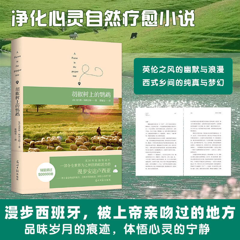 旅居海外美好生活”的暖心之作
