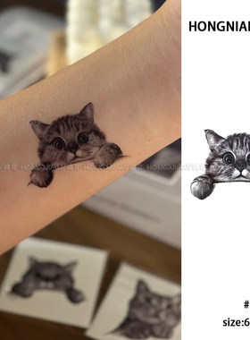 治愈卖萌小猫咪彩色纹身贴高颜值