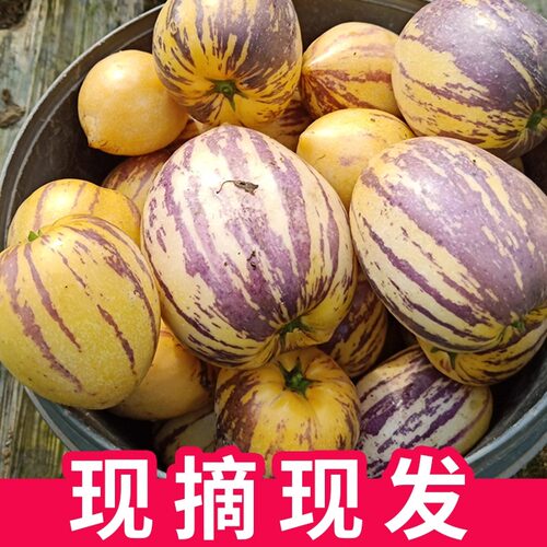 适合孕妇小孩和老人吃的水果