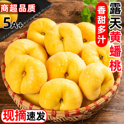 【官方力荐】现摘黄金毛蟠桃脆桃