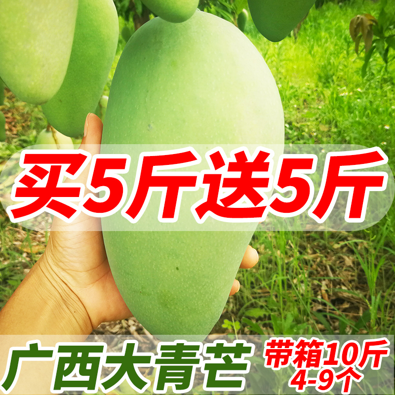 大青芒廣西特大芒果10斤新鮮水果批發當季整箱熱帶青皮金煌芒包郵