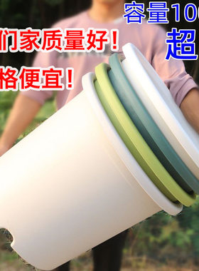 果树种植透气耐晒塑料青山控根盆