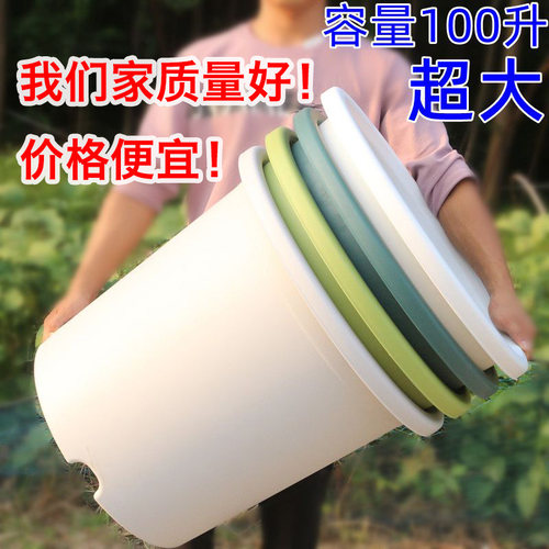 果树种植透气耐晒塑料青山控根盆