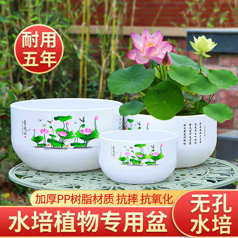 水培无孔碗莲盆睡莲花盆仿瓷简约