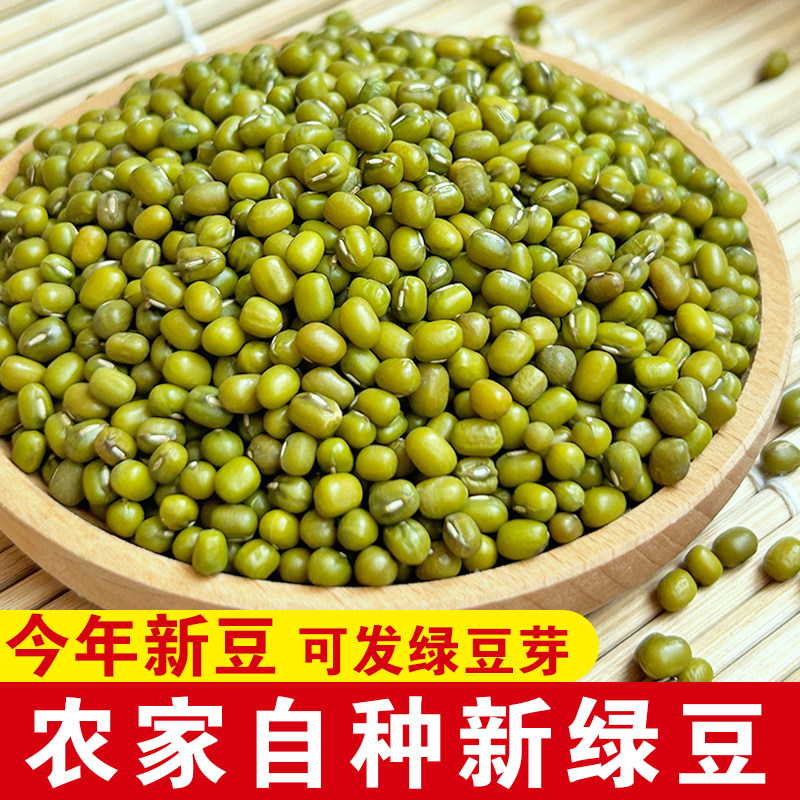东北农家新鲜绿豆农家新绿豆易烂出沙煮粥解暑绿豆汤绿豆沙发豆芽