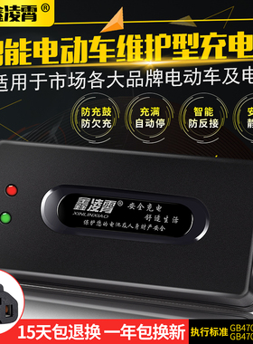 12V20A摩托车电瓶电动车充电器12V30/50/100AH喷雾器玩具车扫地机