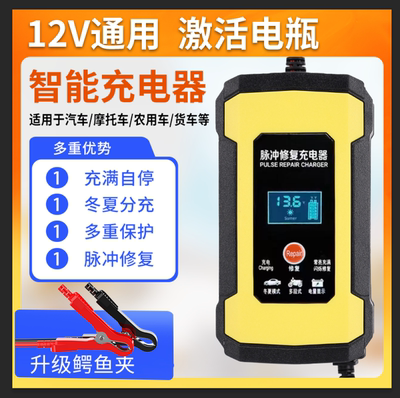 12v电瓶汽车摩托车电瓶充电器100