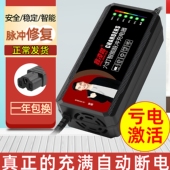 电动车电瓶充电器48V60V20AH72伏30安爱玛雅迪台铃电车三轮车通用