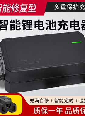 锂电池充电器54.6V48V3A4A5A2A10A滑板车独轮车哈雷电动车改装车