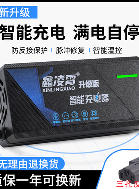 适用绿源电动车电瓶反接充电器36V20E48V20E60V72V80V96V12AH20AH