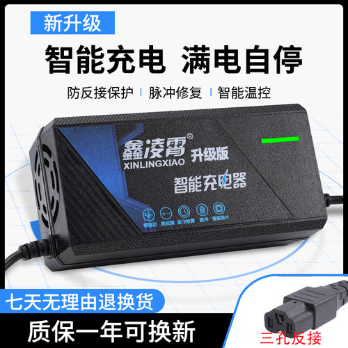 适用两孔电动车充电器96V72V20AH