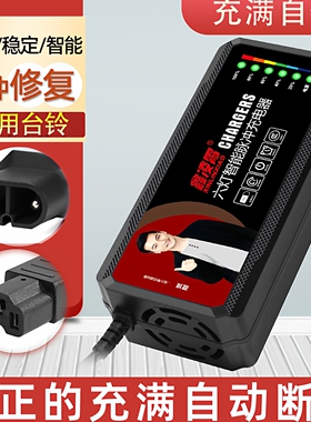 适用于台铃云插电动车电瓶充电器48v12ah60v20ah72v三轮车通用96V