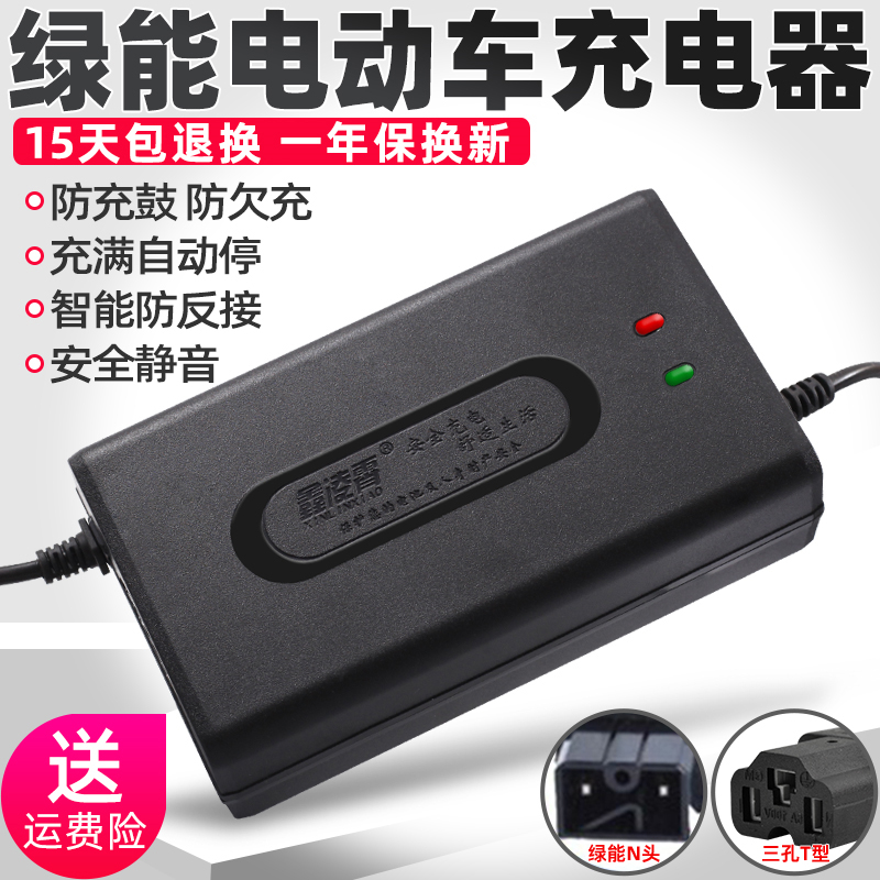 适用绿能新国标电动车电瓶充电器48V12AH60V20AH72V30AN孔防触碰