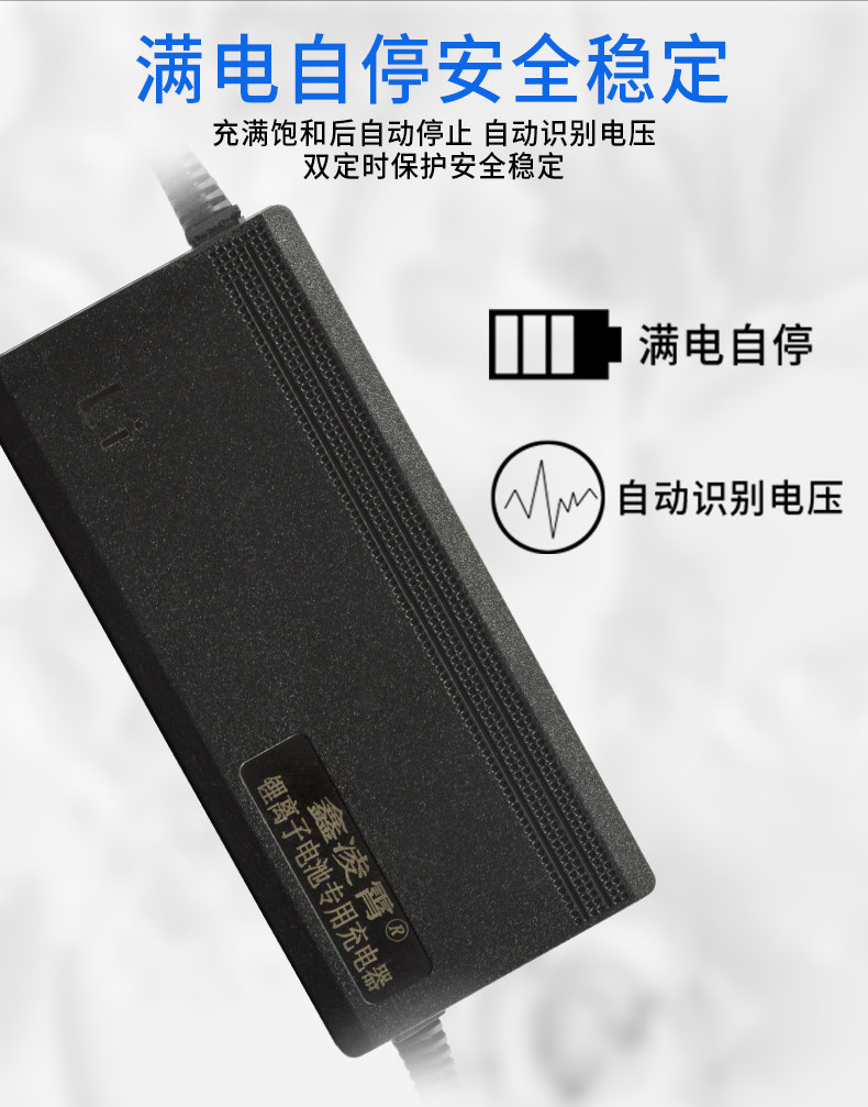 48v锂电池充电器星恒系列三元13串48v2a3a5a8a10a54.6v哈雷平衡车