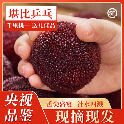 正宗仙居杨梅贡品级礼盒装现摘现发东魁大杨梅新鲜果当季水果浙江