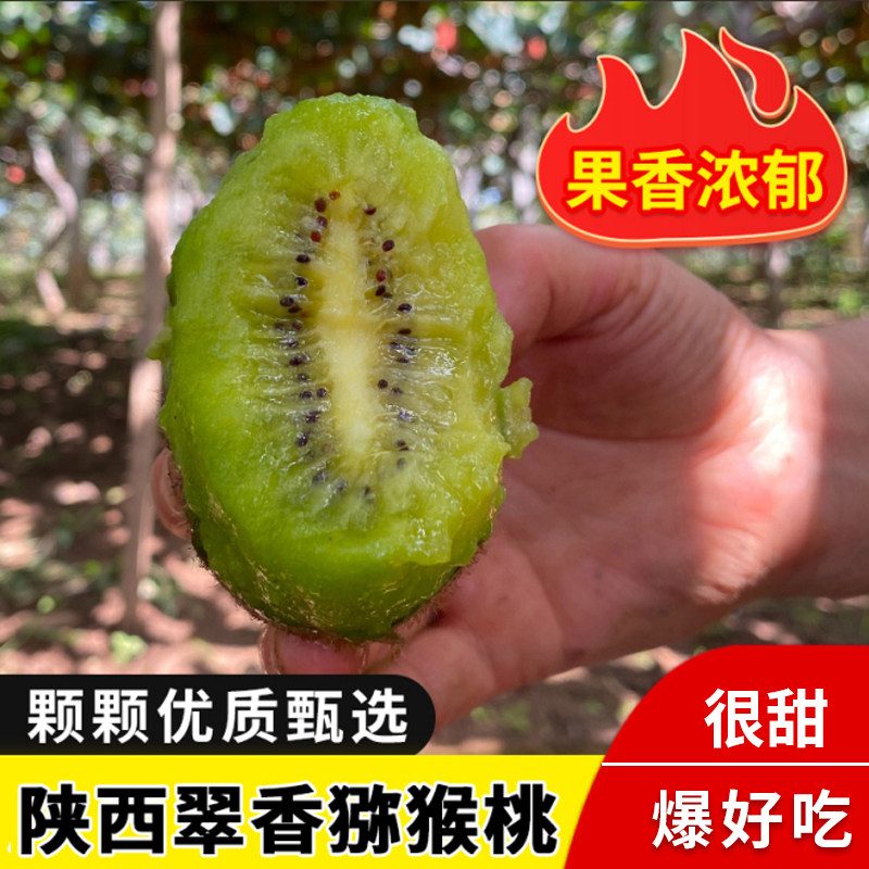 陕西眉县翠香猕猴桃2026新果