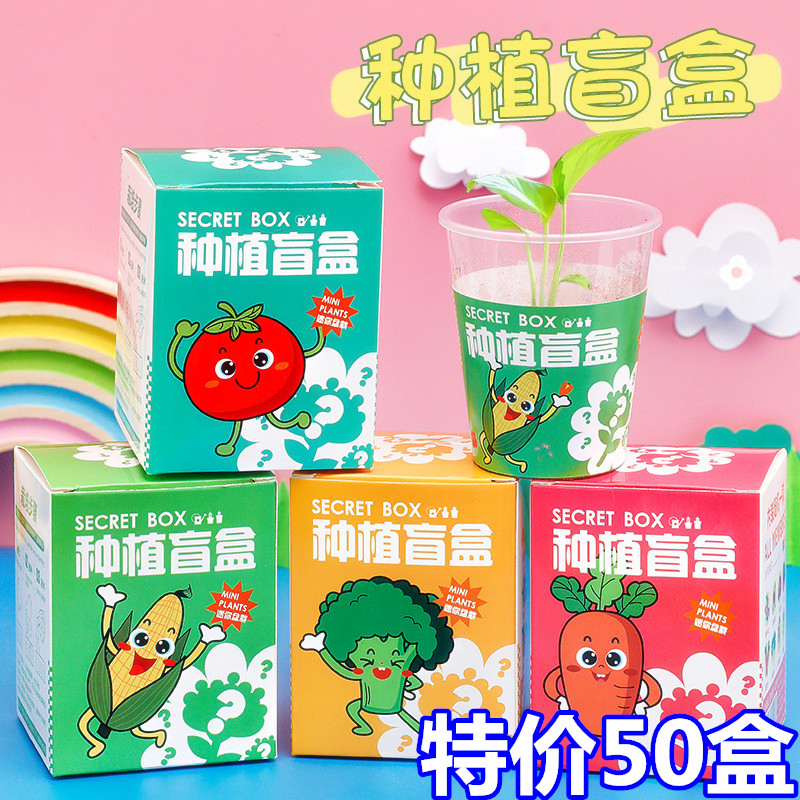 幼儿园益智玩具种植盆栽盲盒儿童礼物圣诞元旦小礼品学生奖励奖品
