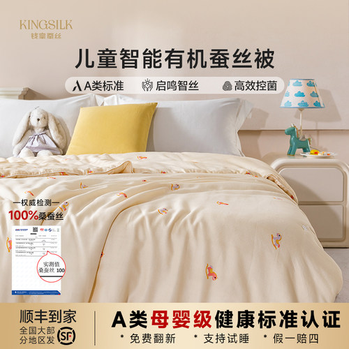 A类母婴级宝宝幼儿园蚕丝被