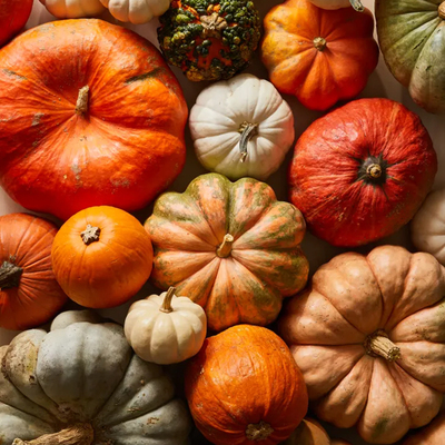 虹越南瓜种子秋播迷你南瓜观赏