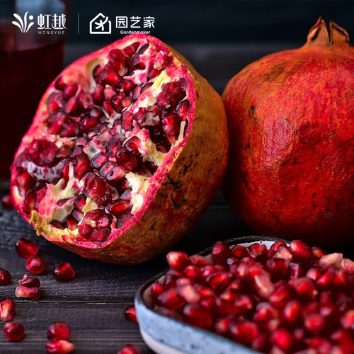 虹越庭院突尼斯南北方种植石榴树