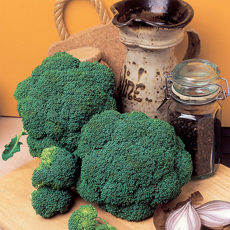 虹越萌吖吖蔬菜种子芦笋西兰花花菜秋葵芥菜丝瓜洋葱韭菜莴笋菜种