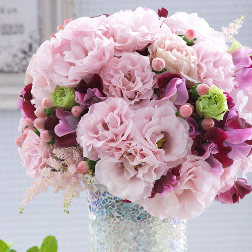 虹越萌吖吖洋桔梗种子家庭盆栽苗