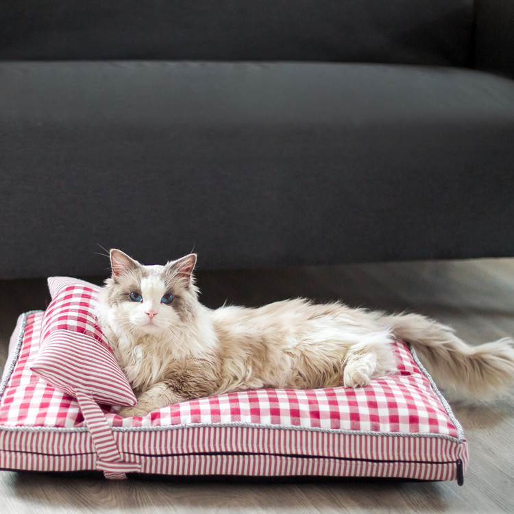 可拆洗四季通用加厚保暖网红狗狗床猫咪床中小型犬防潮宠物床垫窝
